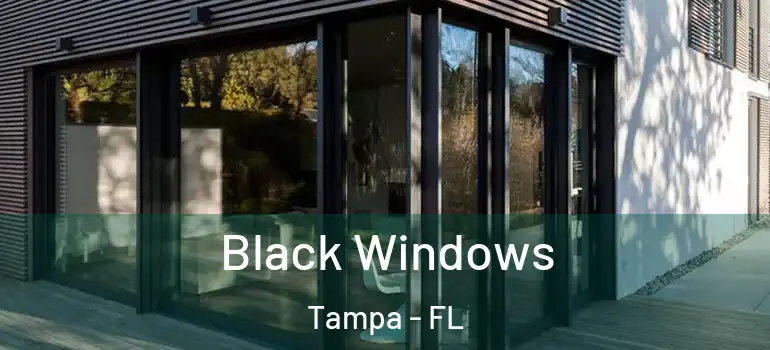 Black Windows Tampa - FL