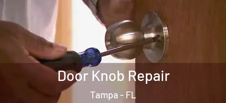  Door Knob Repair Tampa - FL
