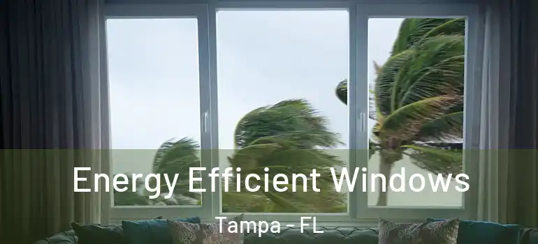  Energy Efficient Windows Tampa - FL