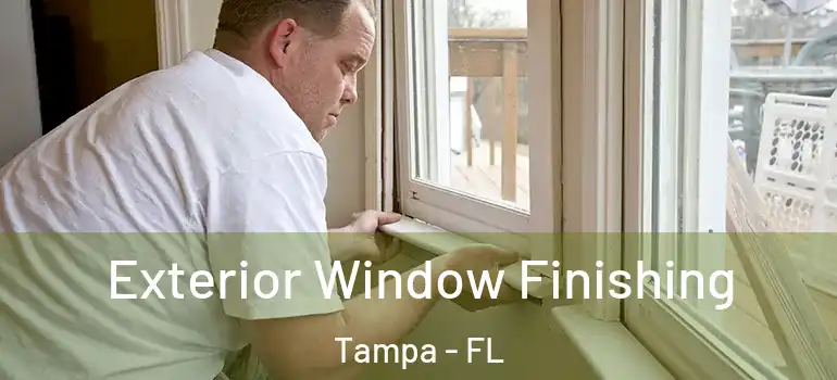 Exterior Window Finishing Tampa - FL