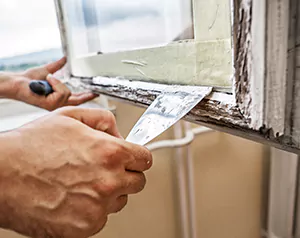 Professional Door and Windows Installation in Tampa, FL