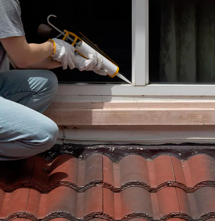 Roof Window Services in Tampa, Florida