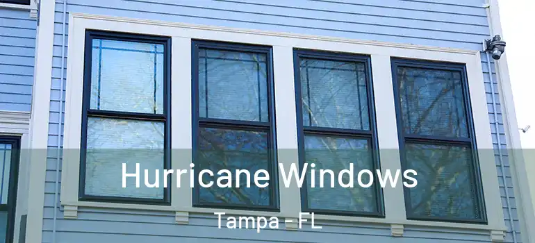 Hurricane Windows Tampa - FL