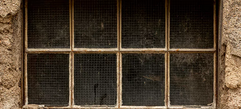 Traditional Double Front Doors in Tampa, FL
