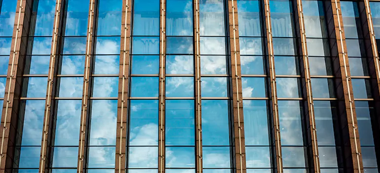 Professional Window Tinting Services in Tampa, FL