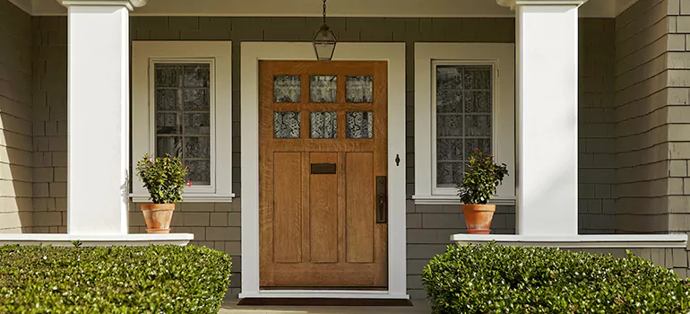 Craftsman Style Door in Tampa, FL