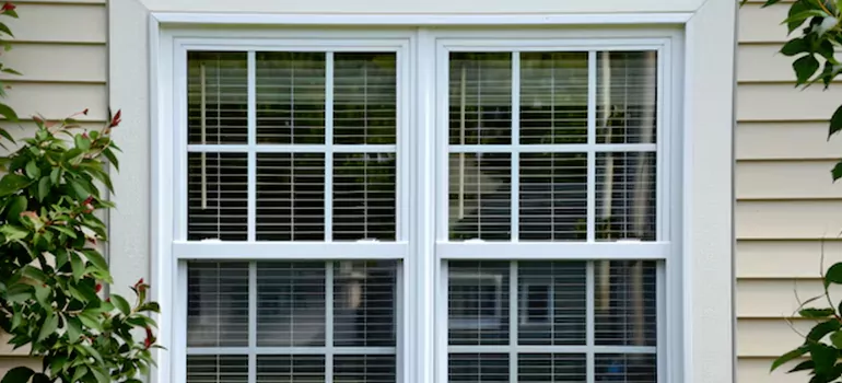Custom Double Hung Windows in Tampa, FL