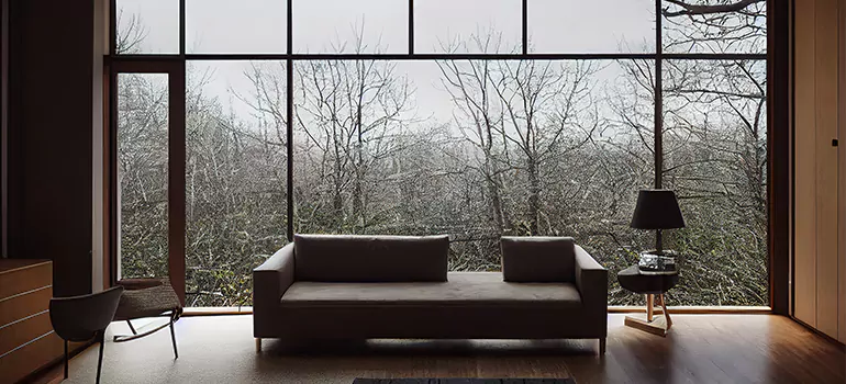 Casement Picture Window in Tampa, FL