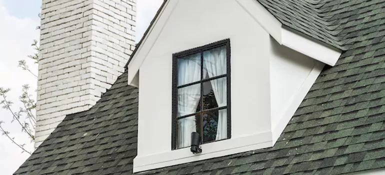 Roof Window Repair in Tampa, FL