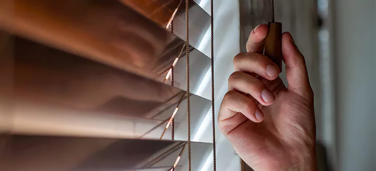 Double Roller Blinds in Tampa, FL