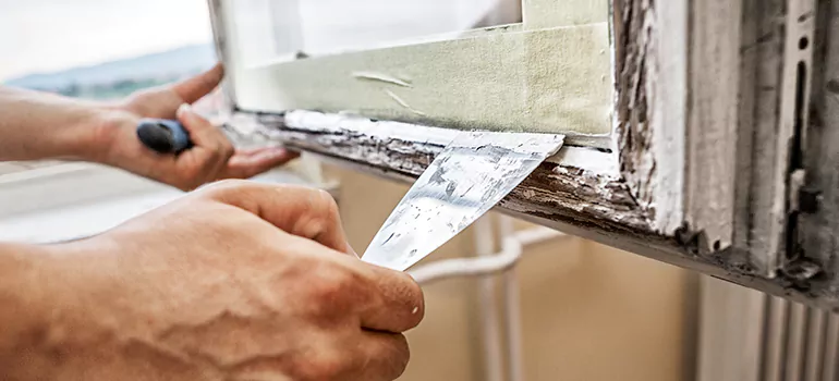 Exterior Window Frame Repair in Tampa, FL