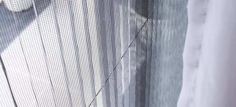 Fixing Screen Window Mesh in Tampa, FL