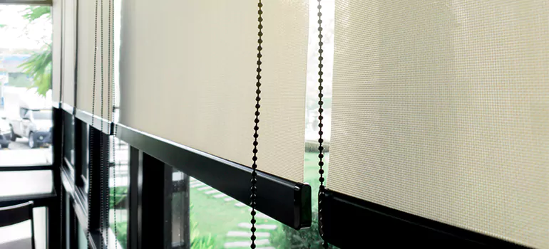 Blackout Window Shades in Tampa, FL