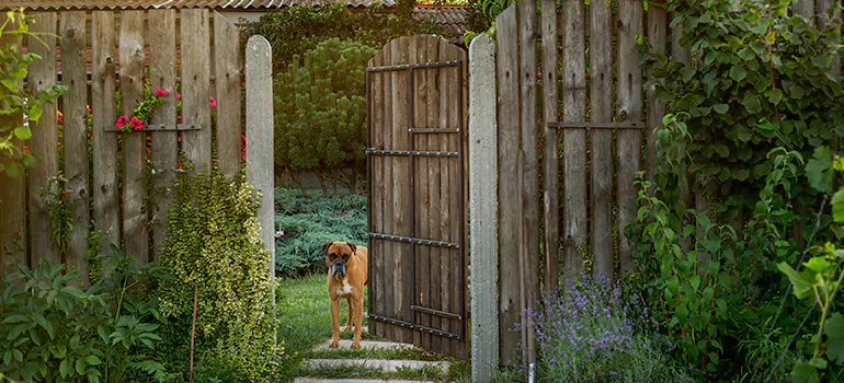 Winter Garden Garage Door Repair in Tampa,[location field=state]
