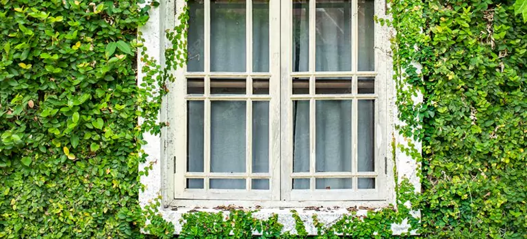 Garden Window Repair Near Me in Tampa, FL