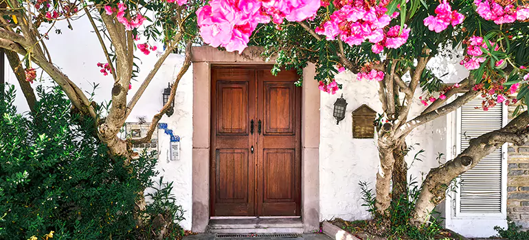 Traditional 4 Panel Internal Doors in Tampa, FL