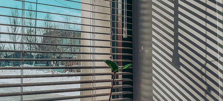 Commercial Window Blinds in Tampa, FL