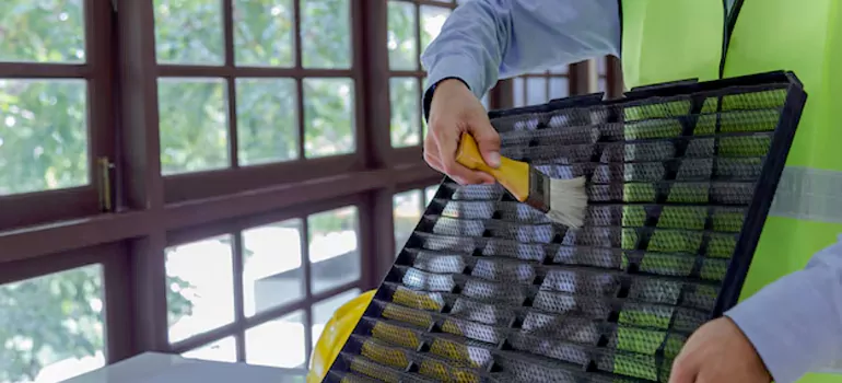 Traditional Window Grille Installation Options in Tampa, FL