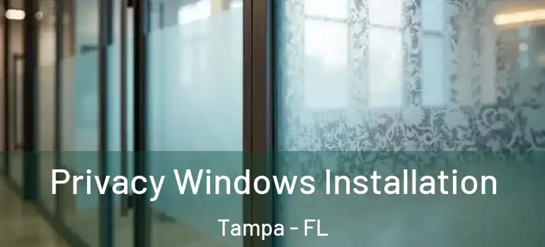  Privacy Windows Installation Tampa - FL