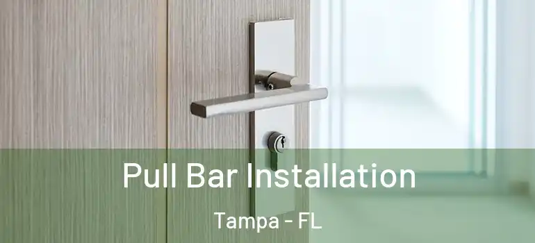  Pull Bar Installation Tampa - FL