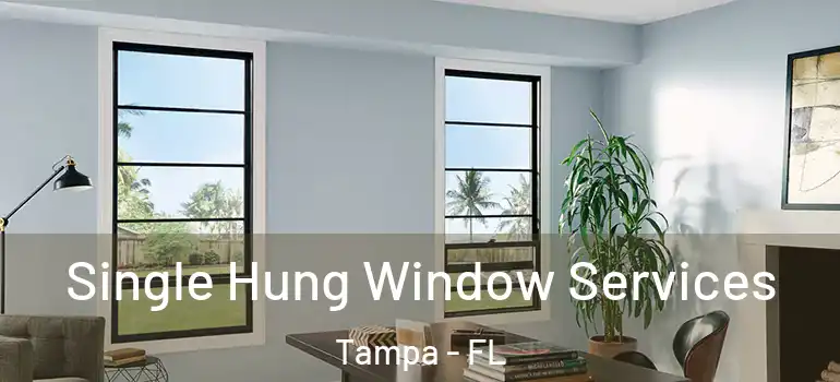 Single Hung Window Services Tampa - FL