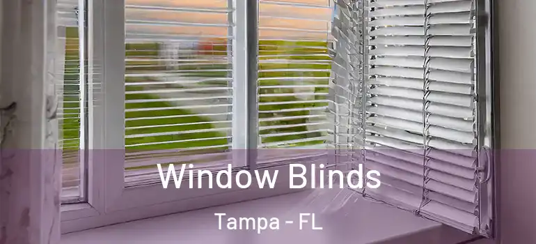 Window Blinds Tampa - FL