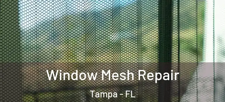 Window Mesh Repair Tampa - FL