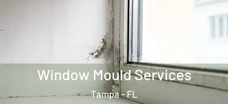 Window Mould Services Tampa - FL