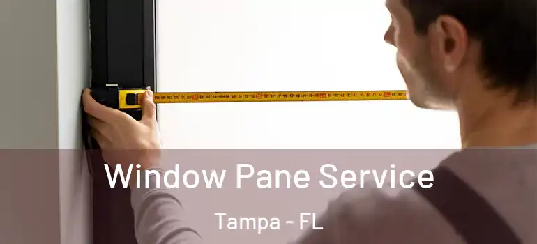 Window Pane Service Tampa - FL
