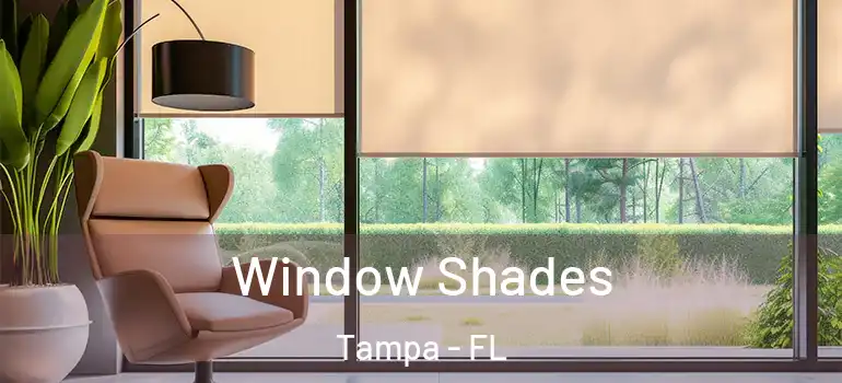 Window Shades Tampa - FL
