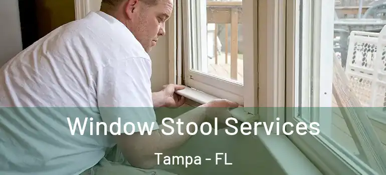  Window Stool Services Tampa - FL