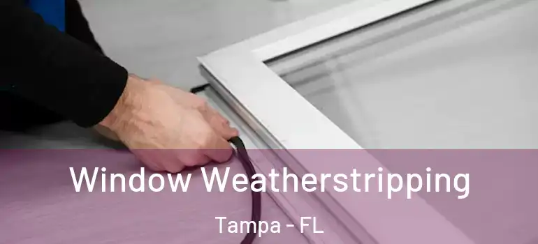  Window Weatherstripping Tampa - FL