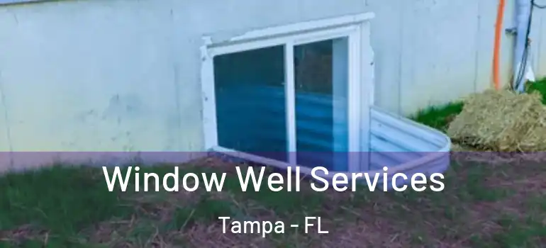 Window Well Services Tampa - FL